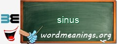 WordMeaning blackboard for sinus